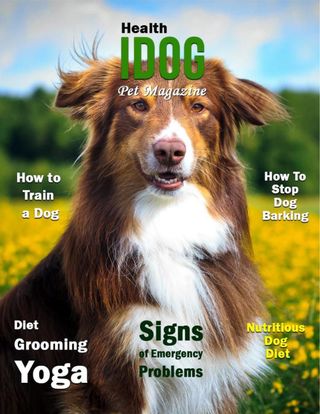 2-11937.jpg Idog - How to Train a Dog - Image 1