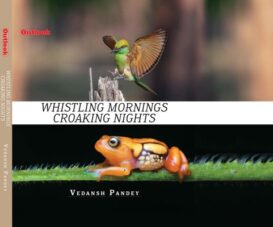 Whistling Mornings Croaking Nights