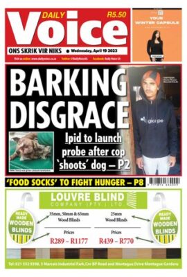 Daily Voice