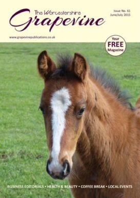 The Worcestershire Grapevine June-July