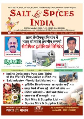 Salt & Spices India