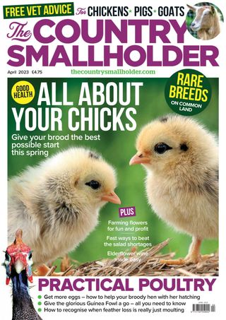 2-289.jpg The Country Smallholder - Image 1