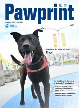Pawprint Magazine