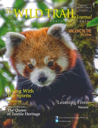 2-300.jpg The WILD TRAIL Journal - Image 1