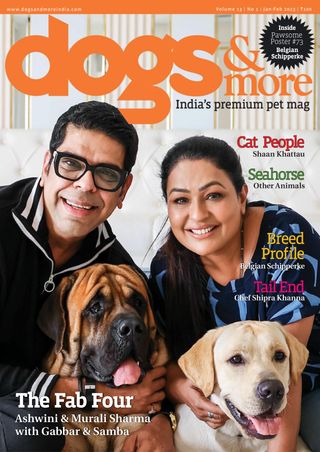 2-325.jpg dogs & more - Image 1