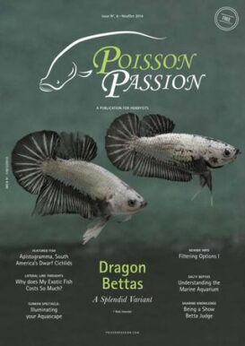 Poisson Passion