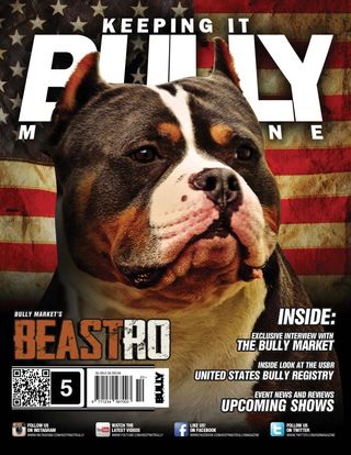 2-346.jpg Keeping It Bully Magazine - Image 1