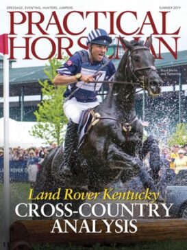 Practical Horseman