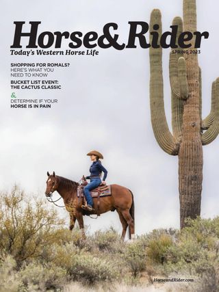 2-392.jpg Horse and Rider - Image 1