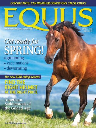 2-393.jpg Equus - Image 1