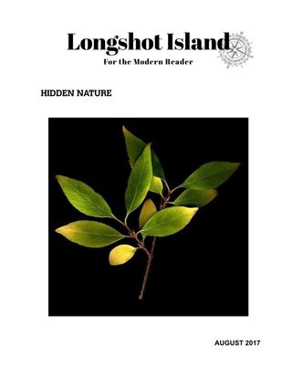 2-3954.jpg Longshot Island - Image 1