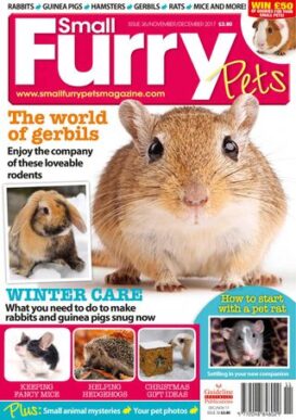 Small Furry Pets