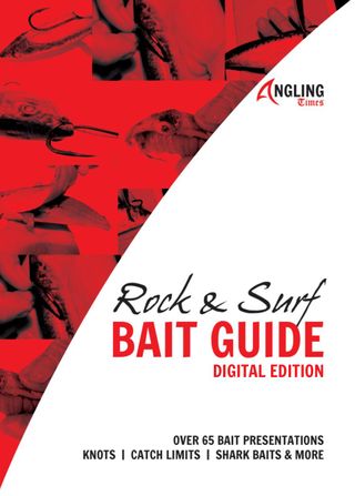 2-4069.jpg Bait Guide -Rock And Surf - Image 1