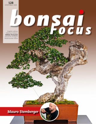 2-4372.jpg Bonsai Focus FR - Image 1