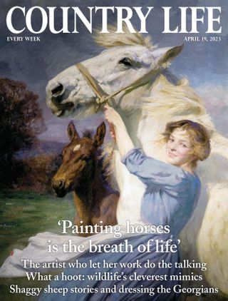 2-6182.jpg Country Life UK - Image 1