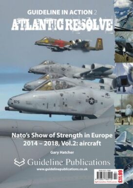 Guideline in Action 2 - Atlantic Resolve