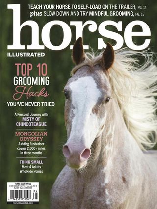 2-7317.jpg Horse Illustrated - Image 1