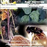 International Journal of Plant Protection