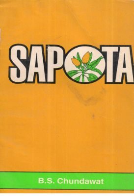 Sapota