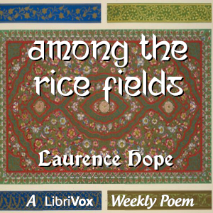 amongthericefields_2008.jpg Among the Rice Fields - Image 1