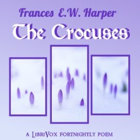 The Crocuses