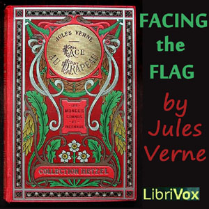 facing_flag_1209.jpg Facing the Flag - Image 1